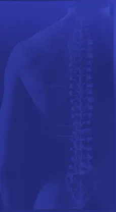 Wervelkolom visualisatie voor fysiotherapie en manuele therapie behandelingen